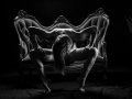 2016 'Alwun House' Exotic Art Show  Headline Art and Viewers Choice  Award